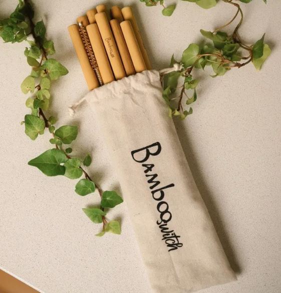 10 Organic Bamboo Straws & Coconut Fiber Straw Cleaner