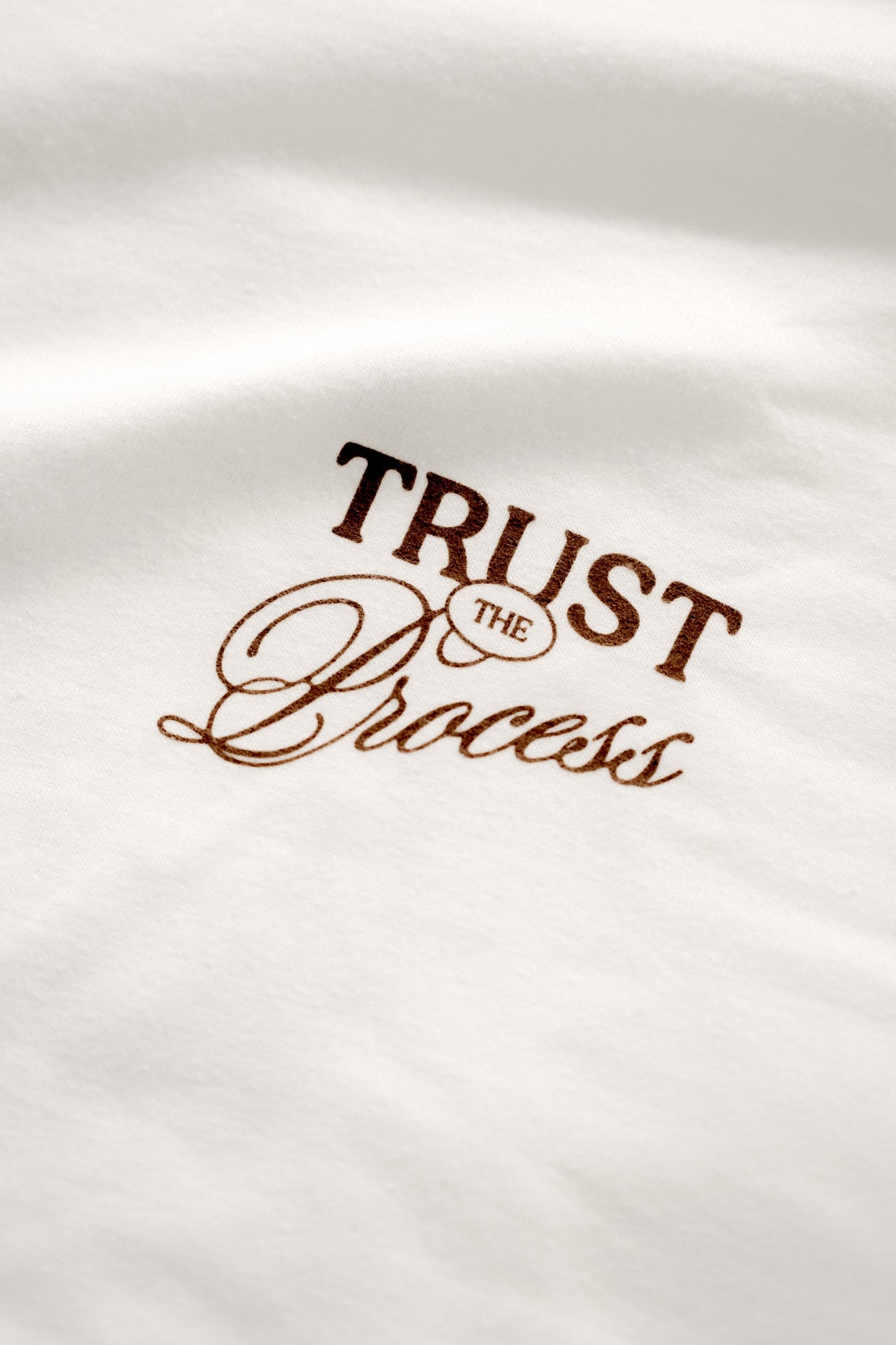 Trust the Process - Drouillard House Beefy Retro Tee