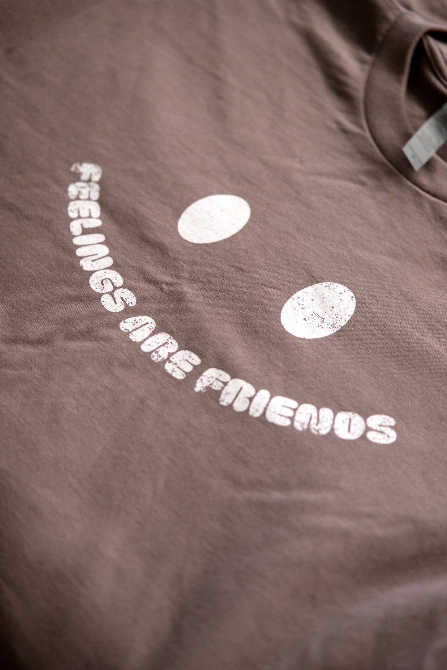 Feelings Are Friends Heavyweight Tee - Shitake