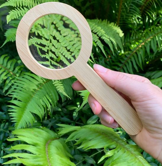 Magnifying Glass by Tree Fort Toys