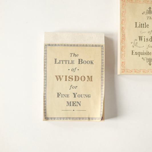 The Little Book of Wisdom for Fine Young Men - Sugarboo